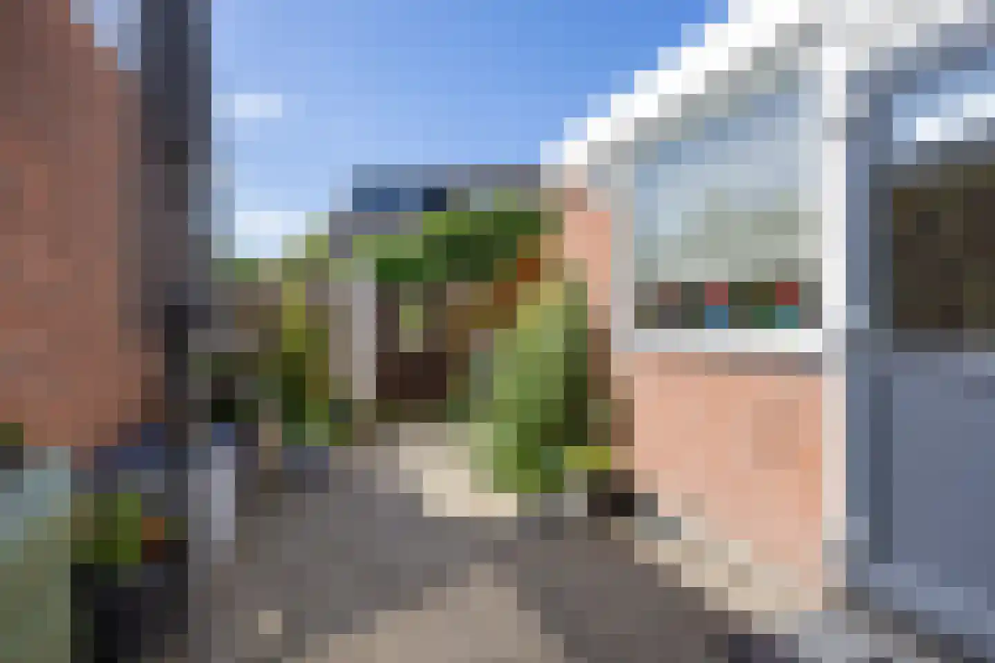 't Veer 14 Leek thumbnail 49