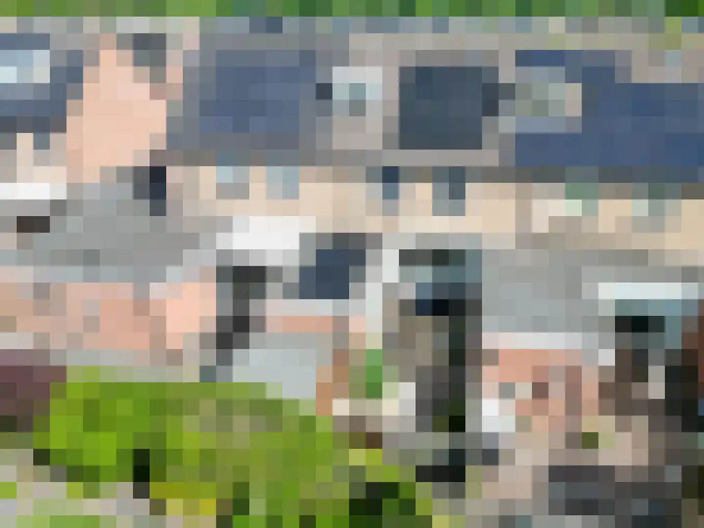 't Veer 14 Leek thumbnail 53