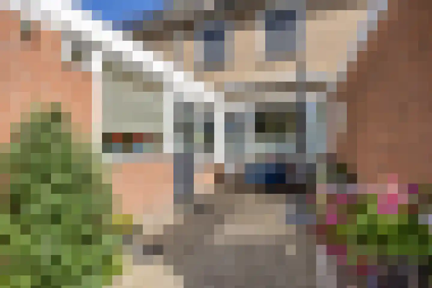 't Veer 14 Leek thumbnail 6