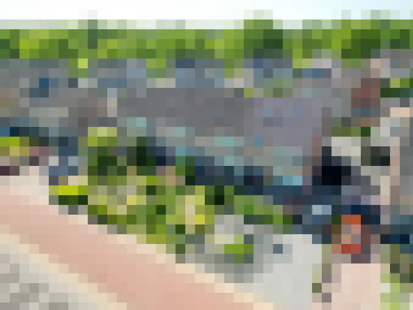 't Veer 14 Leek thumbnail 8
