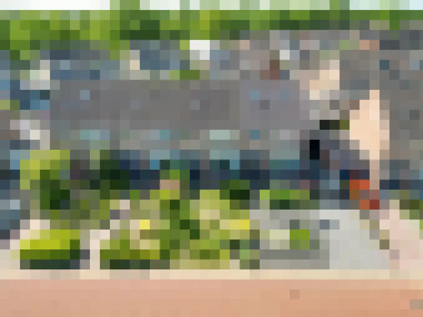 't Veer 14 Leek thumbnail 9