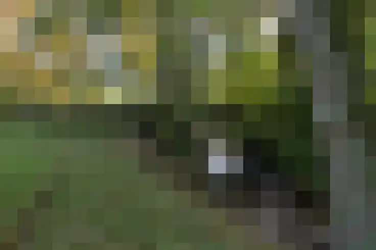 't Veld 2 Epen thumbnail 4