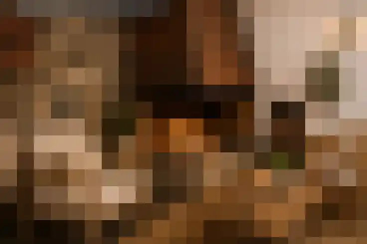 't Veld 2 Epen thumbnail 6