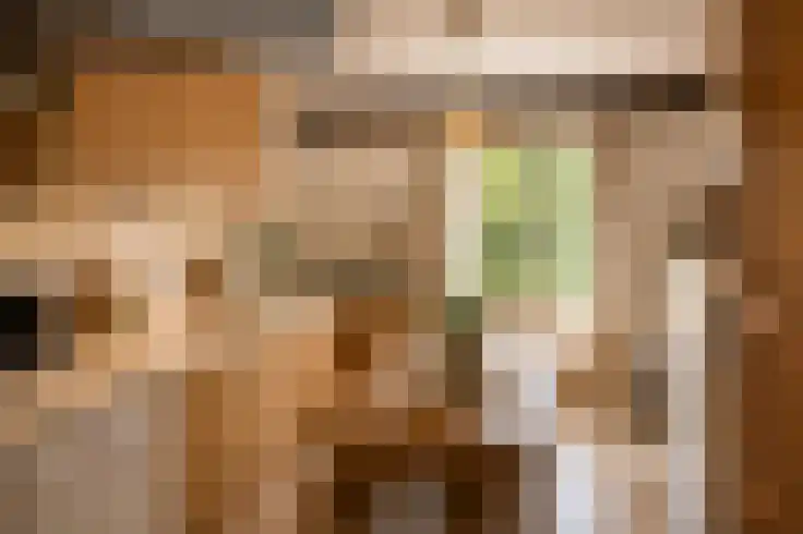 't Veld 2 Epen thumbnail 8