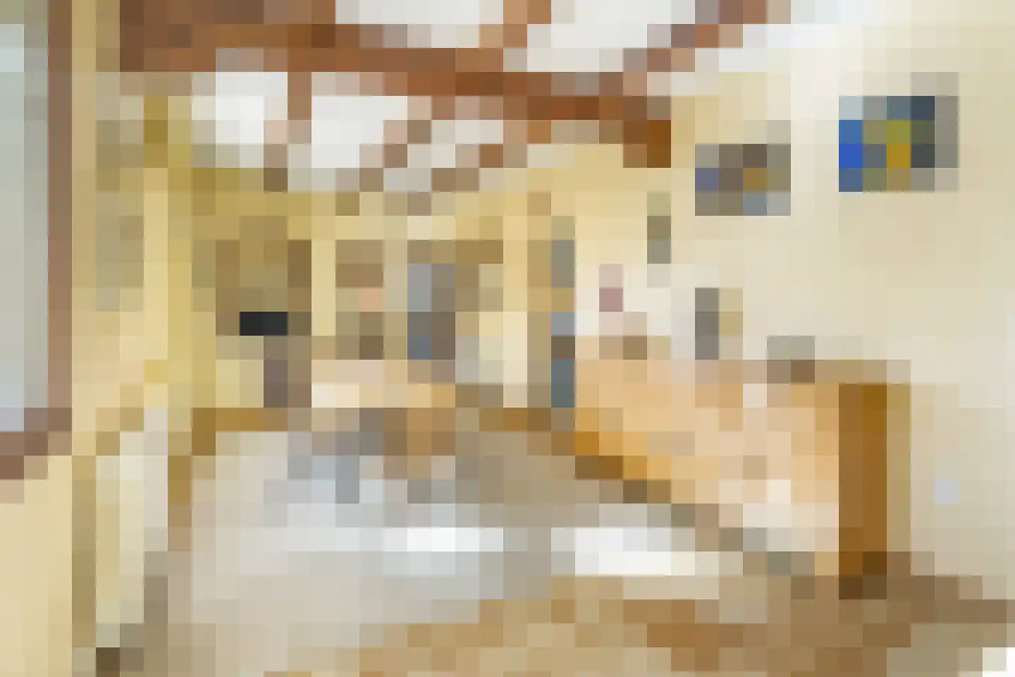 't Veld 2 Epen thumbnail 9