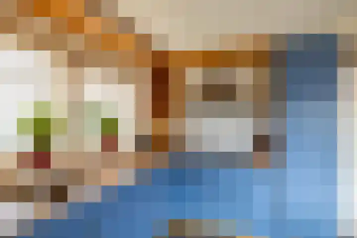 't Veld 20 Annen thumbnail 16