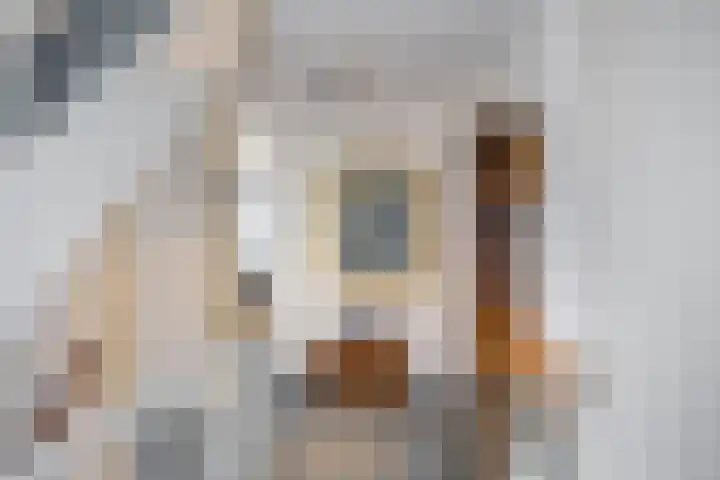 't Veld 20 Annen thumbnail 21