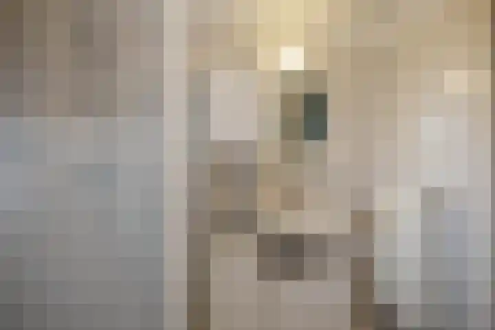 't Veld 20 Annen thumbnail 30