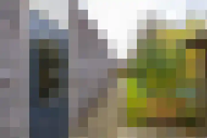 't Veld 20 Annen thumbnail 35