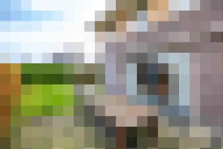 't Veld 20 Annen thumbnail 36