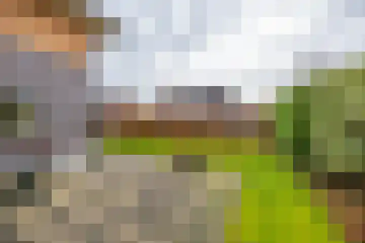 't Veld 20 Annen thumbnail 37