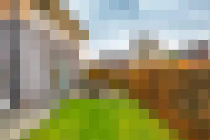 't Veld 20 Annen thumbnail 38