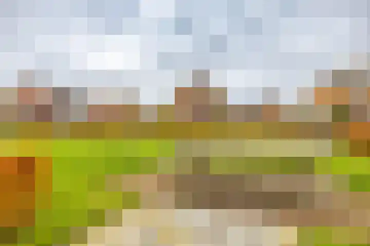 't Veld 20 Annen thumbnail 39