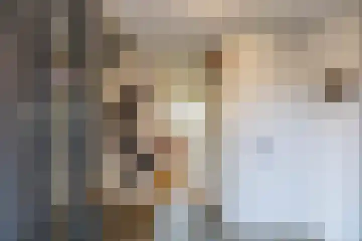 't Veld 20 Annen thumbnail 5