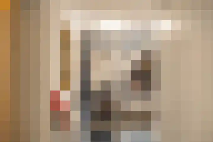 't Veld 20 Annen thumbnail 6