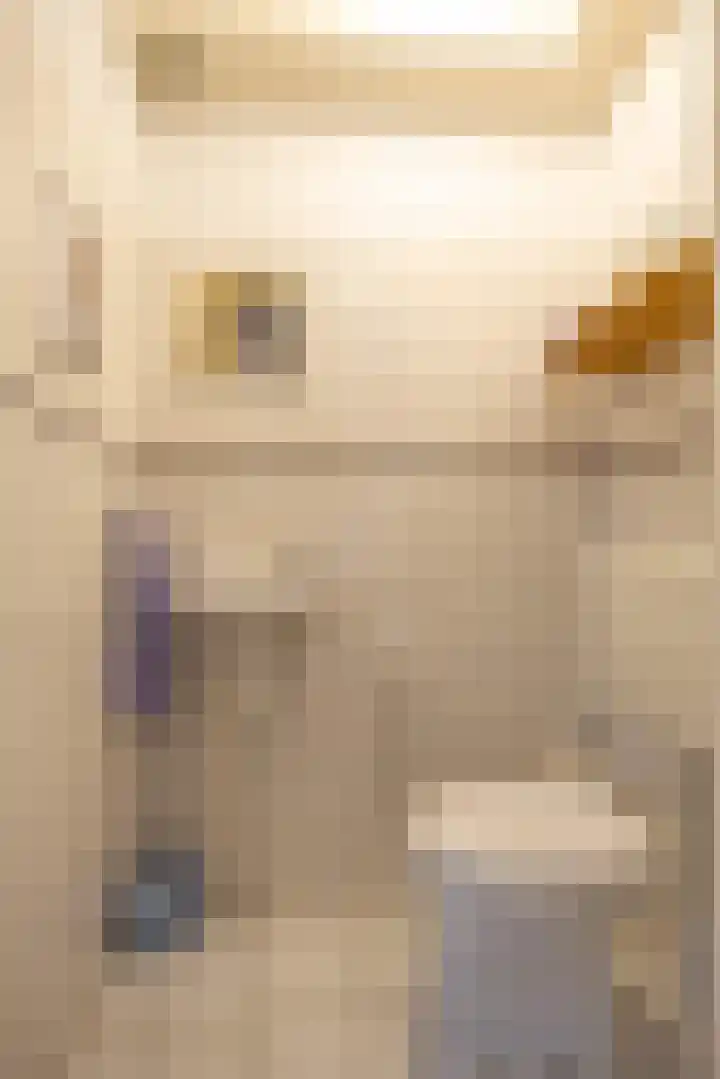 't Veld 20 Annen thumbnail 7