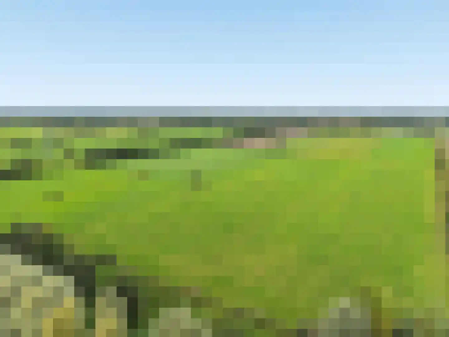 't Veld 24 Overberg thumbnail 30