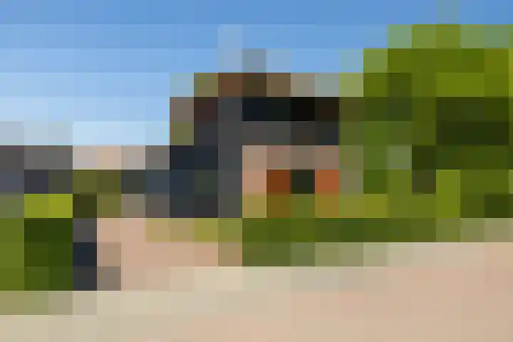 't Veld 25 Overberg thumbnail 65