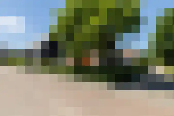 't Veld 25 Overberg thumbnail 68