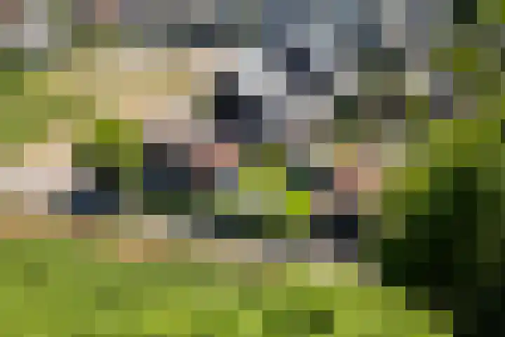 't Veld 25 Overberg thumbnail 72