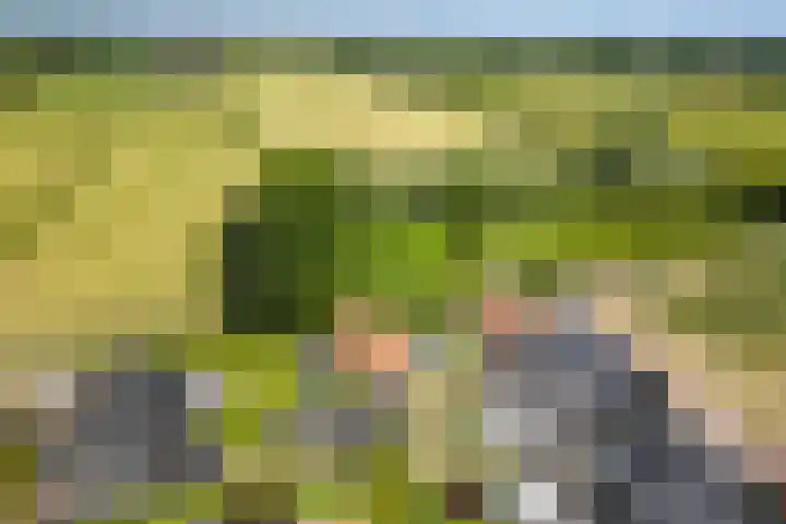 't Veld 25 Overberg thumbnail 76