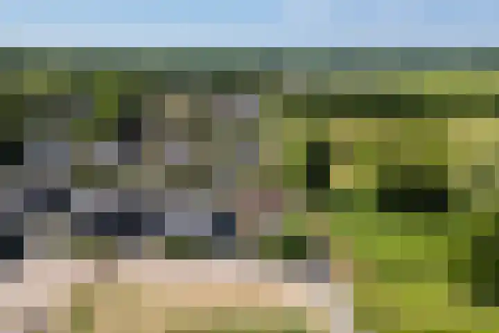 't Veld 25 Overberg thumbnail 77