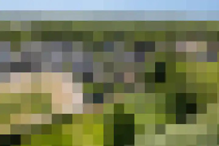 't Veld 25 Overberg thumbnail 78