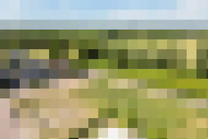 't Veld 25 Overberg thumbnail 79