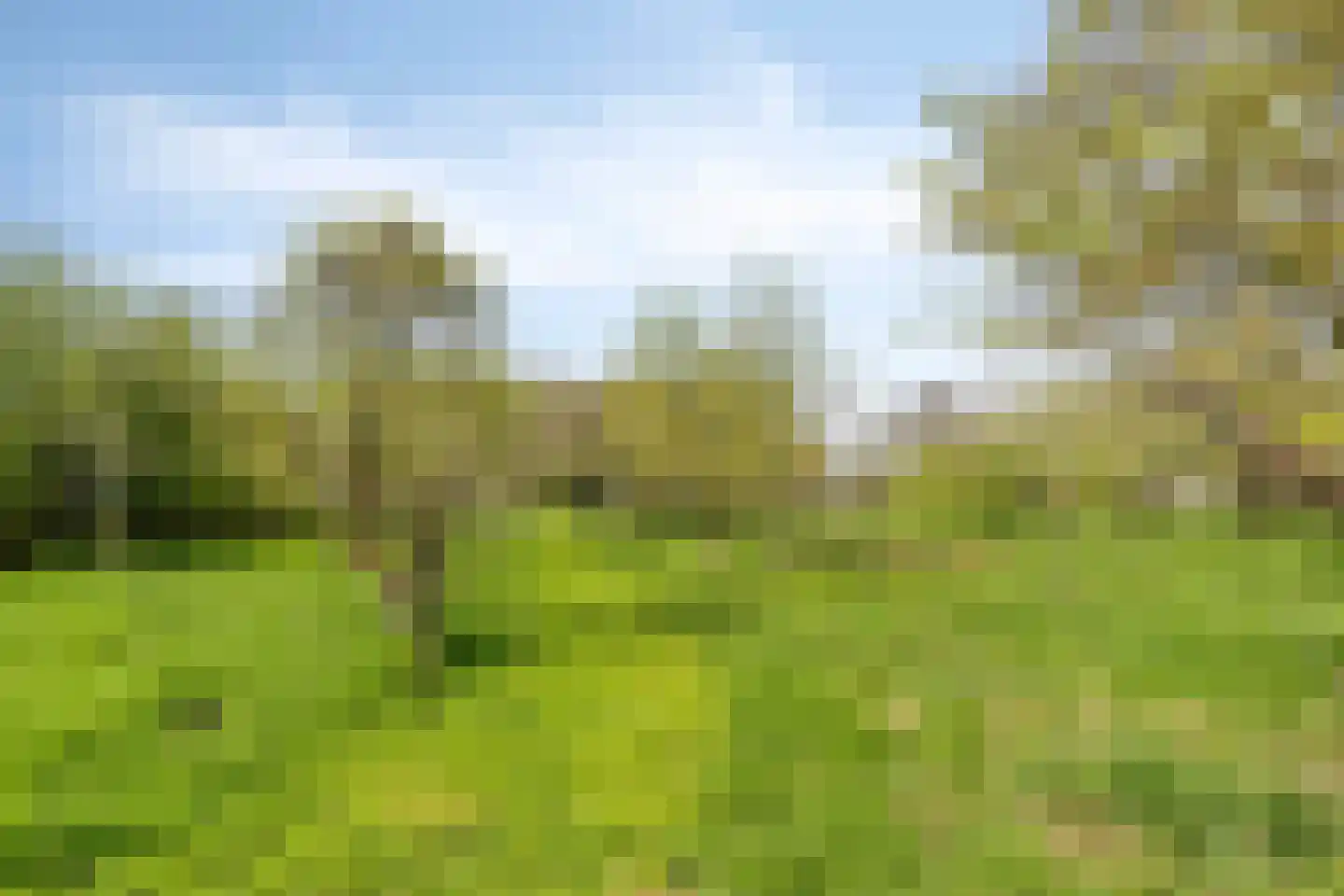 't Veld 3 Angeren thumbnail 28