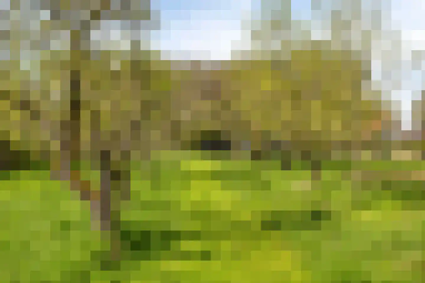 't Veld 3 Angeren thumbnail 29
