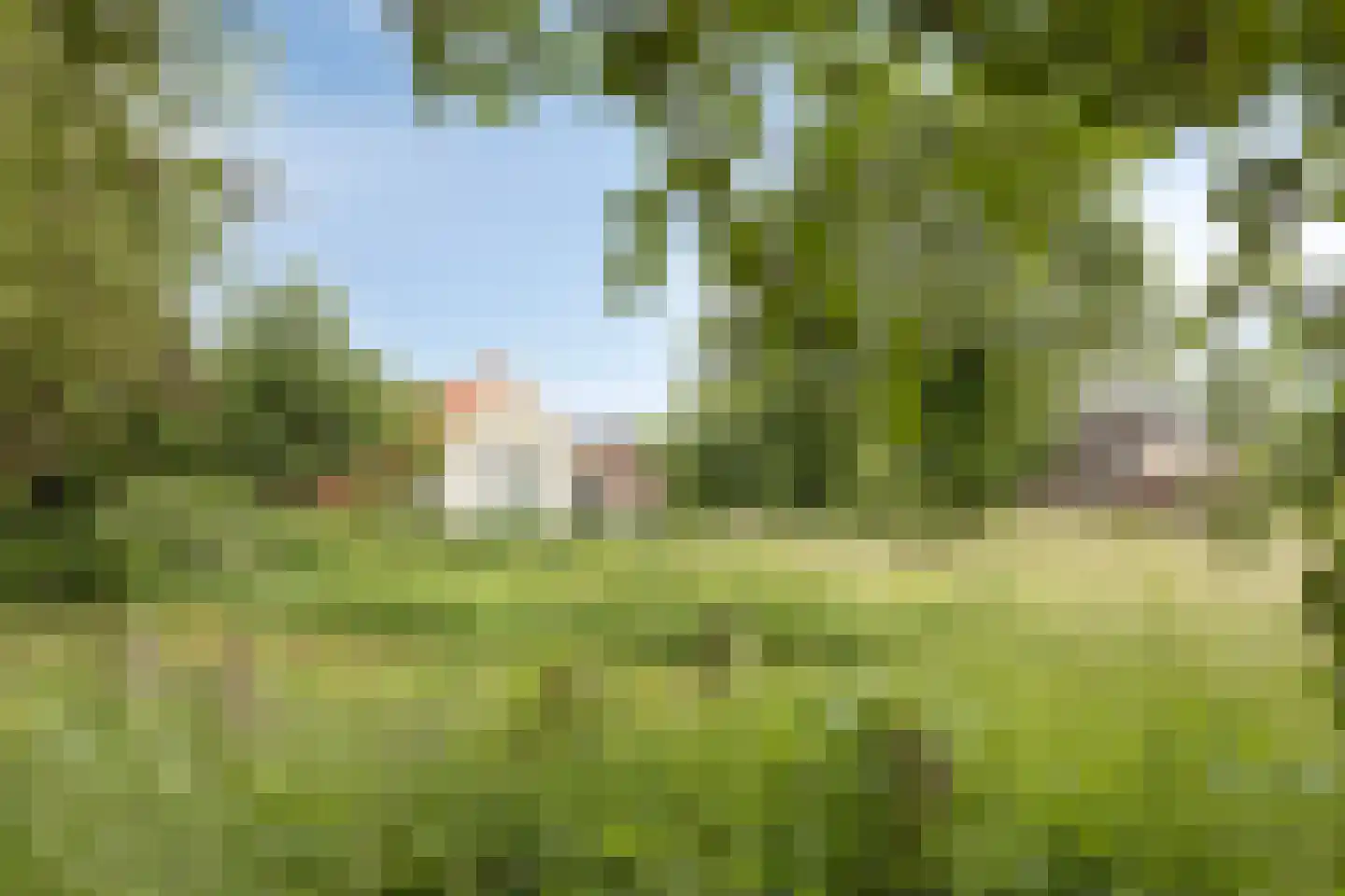 't Veld 3 Angeren foto 3