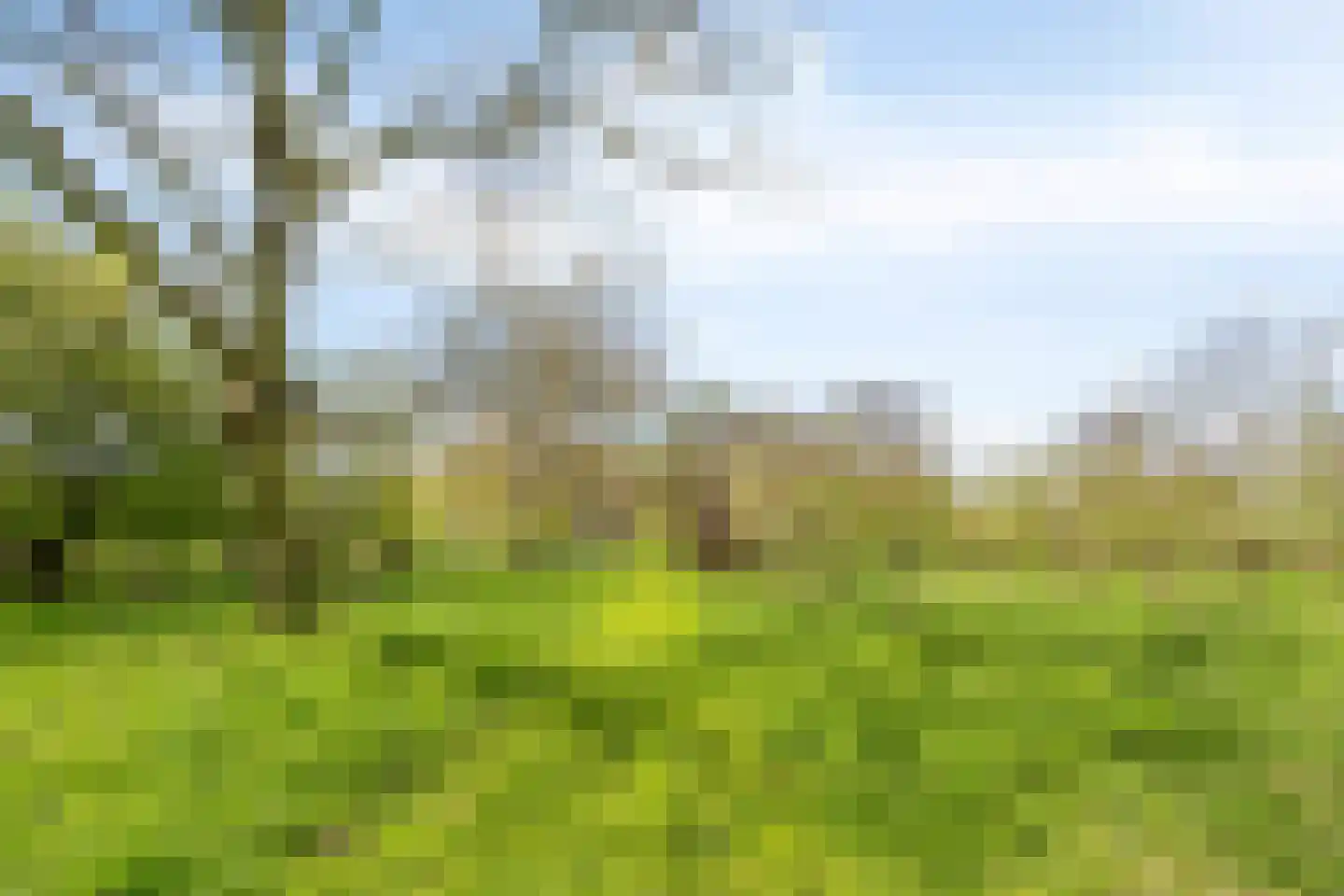 't Veld 3 Angeren thumbnail 30
