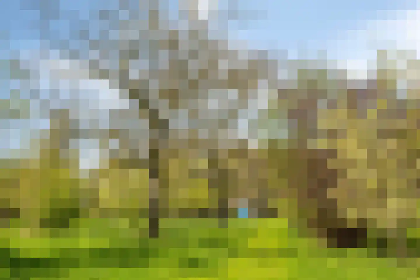 't Veld 3 Angeren thumbnail 31
