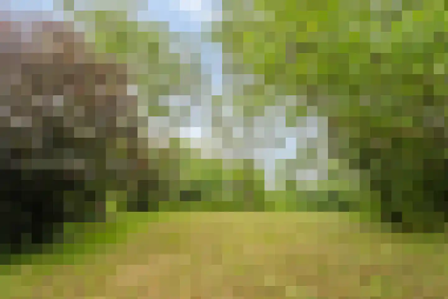 't Veld 3 Angeren thumbnail 33