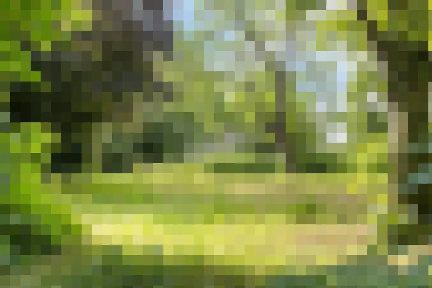 't Veld 3 Angeren thumbnail 34