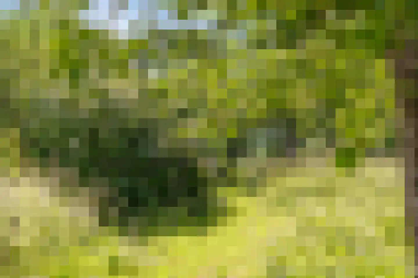 't Veld 3 Angeren thumbnail 35