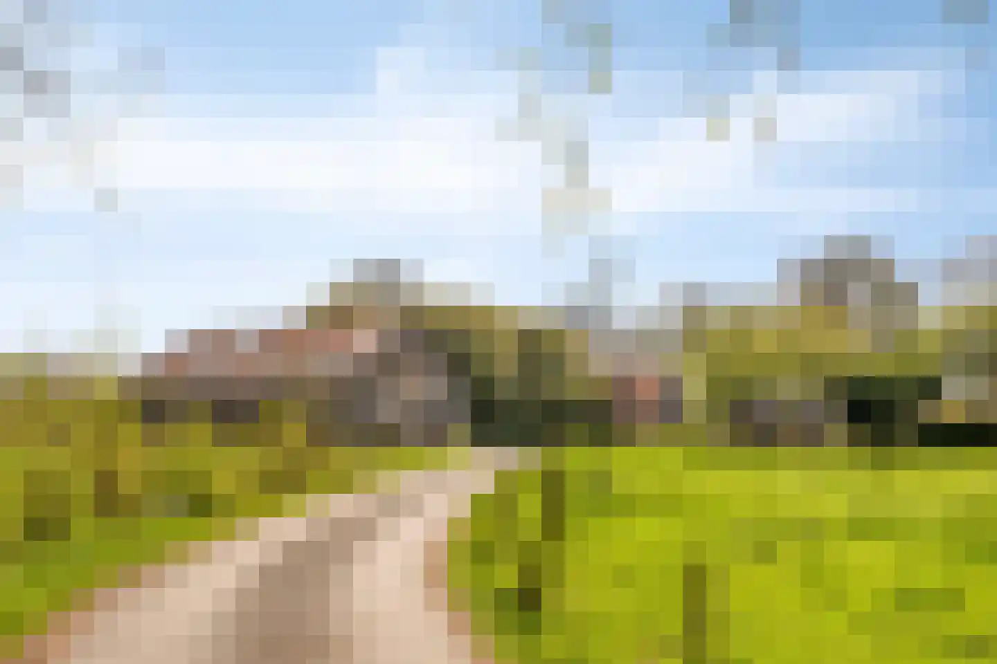 't Veld 3 Angeren thumbnail 40