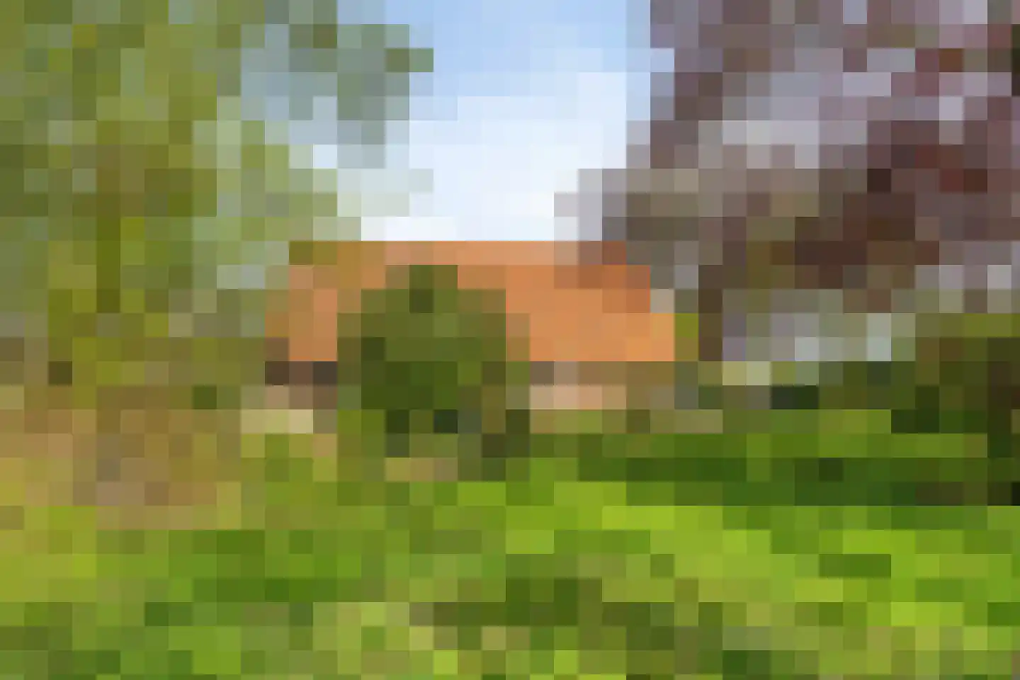 't Veld 3 Angeren thumbnail 5