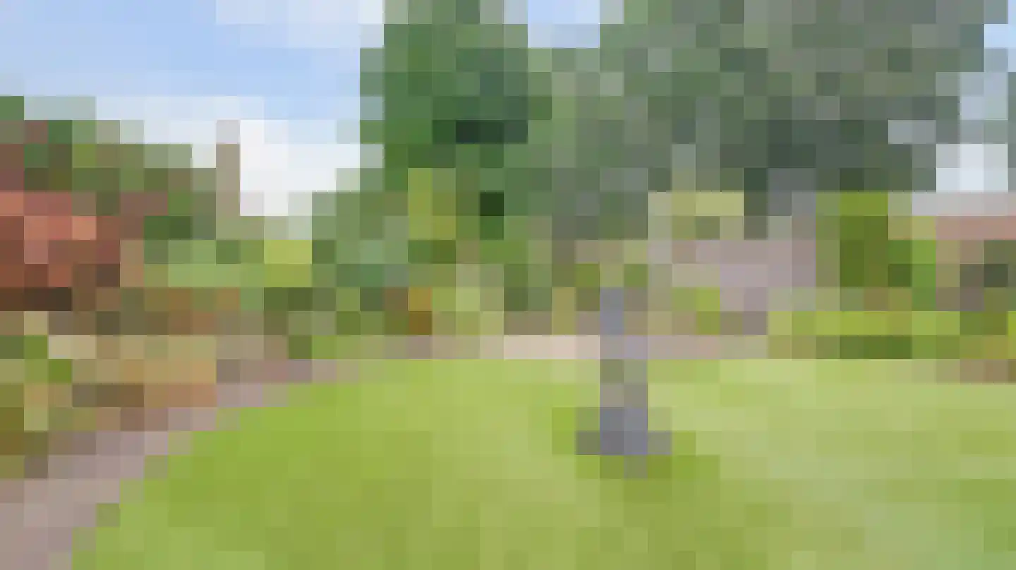 't Veld 36 Almelo thumbnail 31
