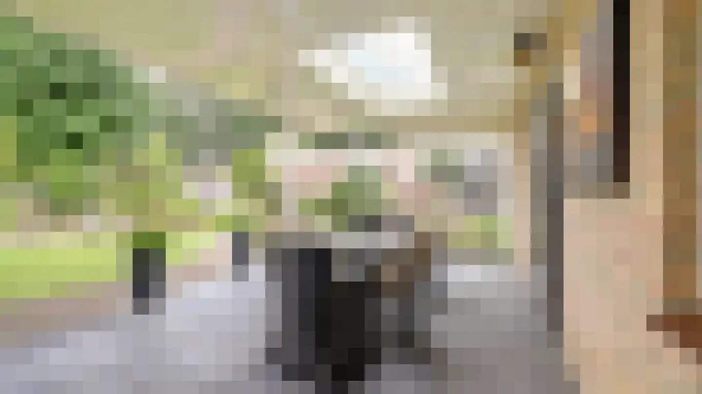 't Veld 36 Almelo thumbnail 34