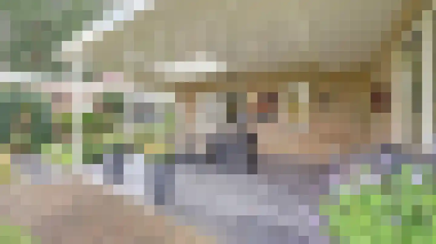 't Veld 36 Almelo thumbnail 35