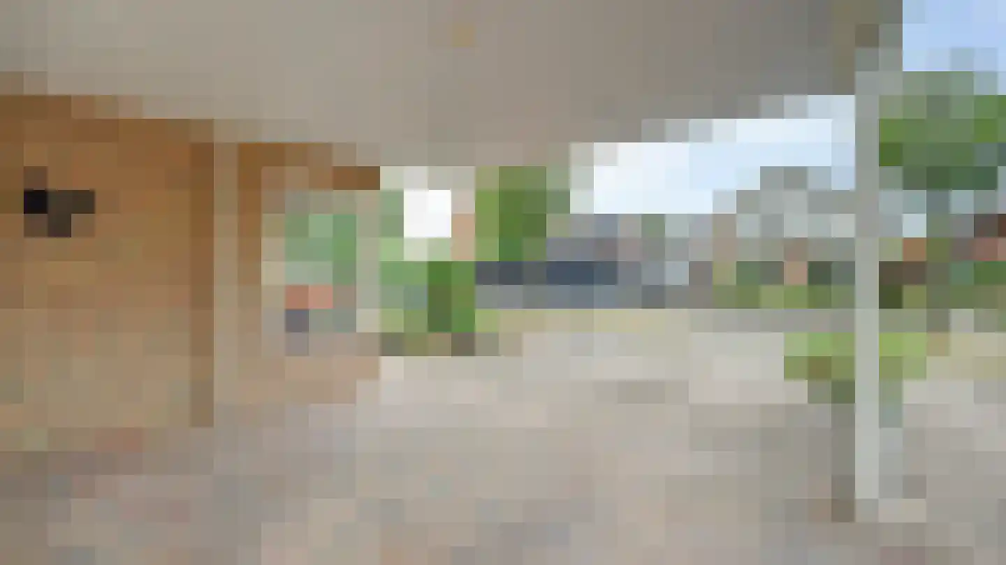 't Veld 36 Almelo thumbnail 38