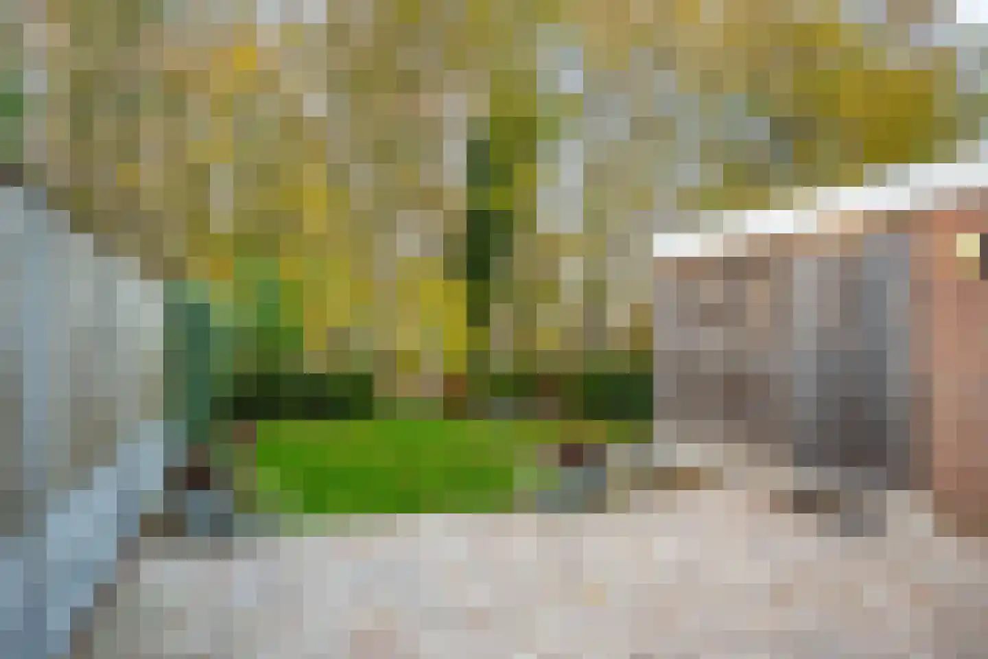 't Veld 6 Laren thumbnail 36