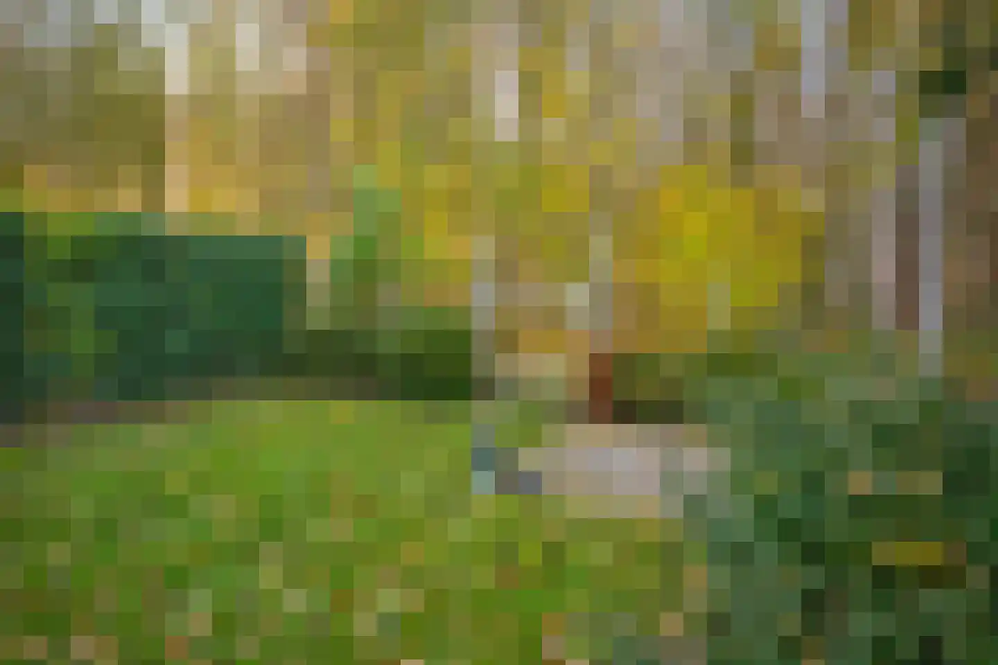 't Veld 6 Laren thumbnail 37