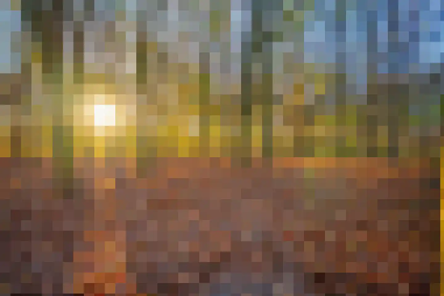 't Veld 6 Laren thumbnail 38