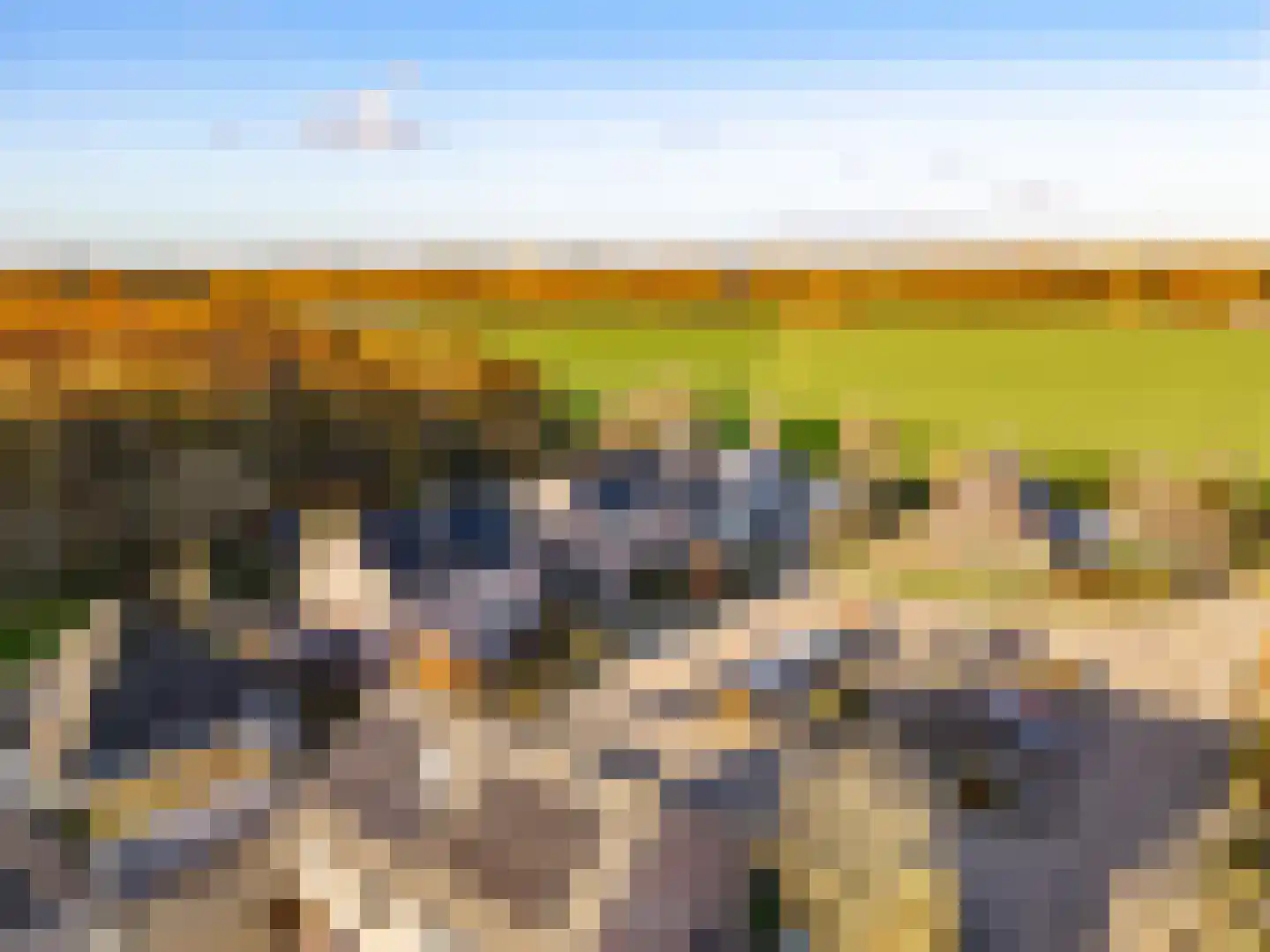 't Veld 6 Laren thumbnail 41