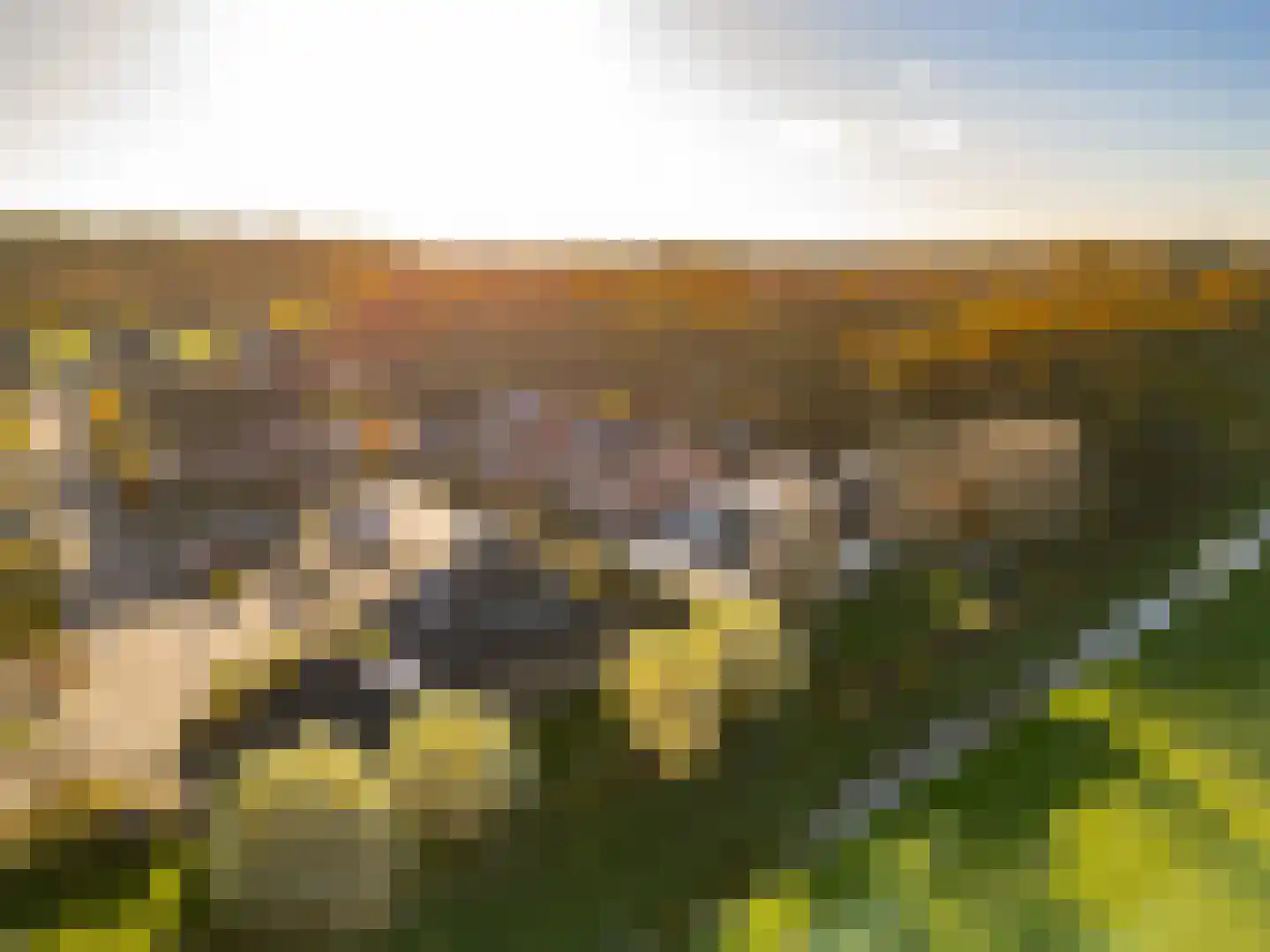 't Veld 6 Laren thumbnail 42