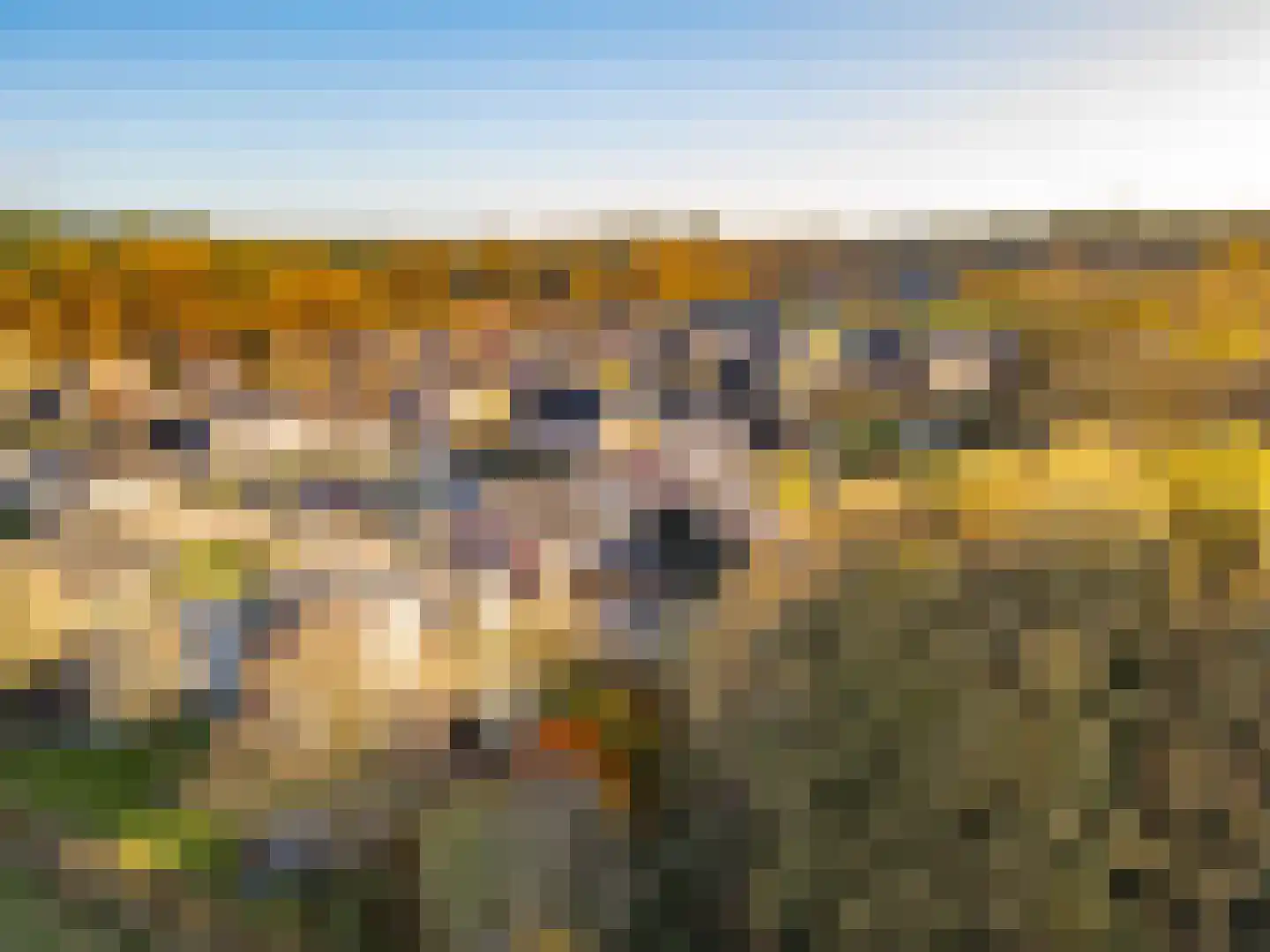 't Veld 6 Laren thumbnail 43