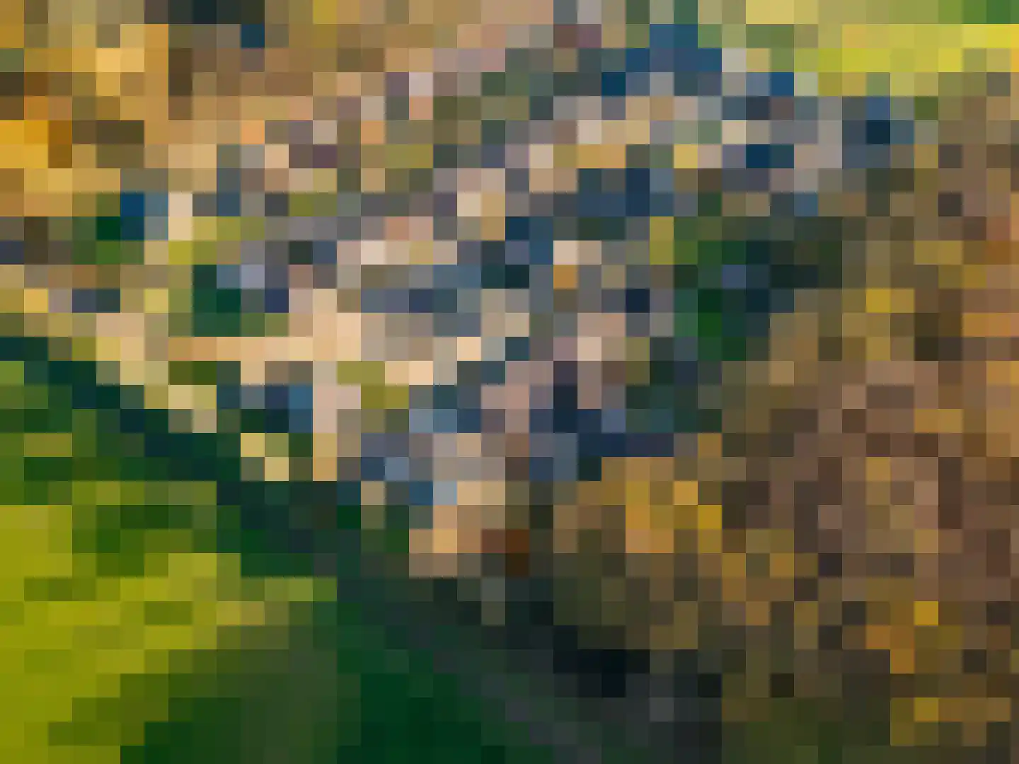 't Veld 6 Laren thumbnail 44