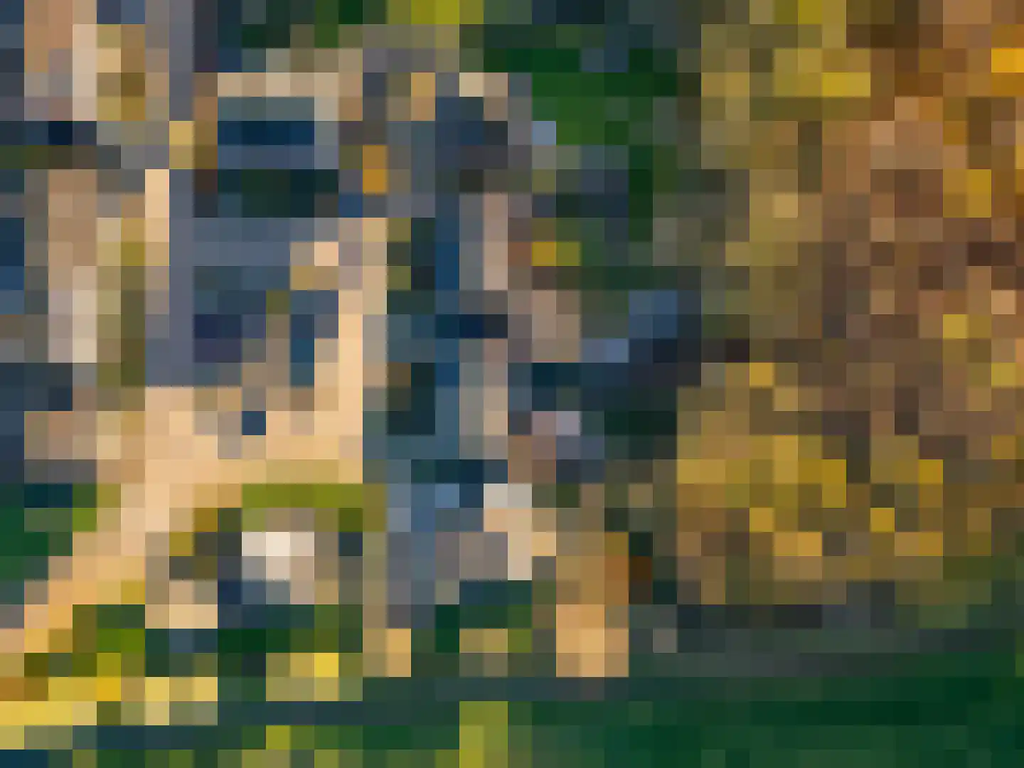 't Veld 6 Laren thumbnail 45